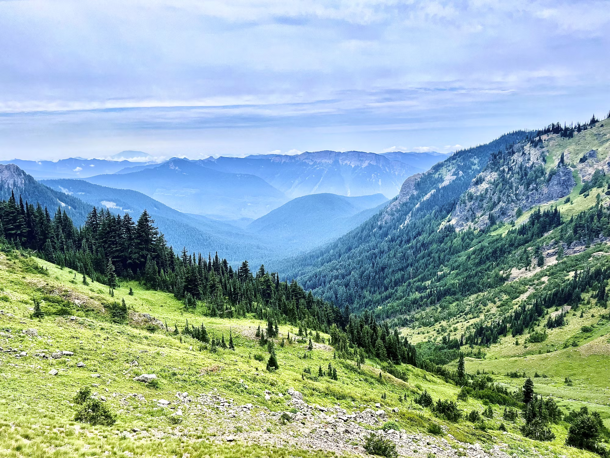 The Art of Trail Running: Cesta přes přírodu